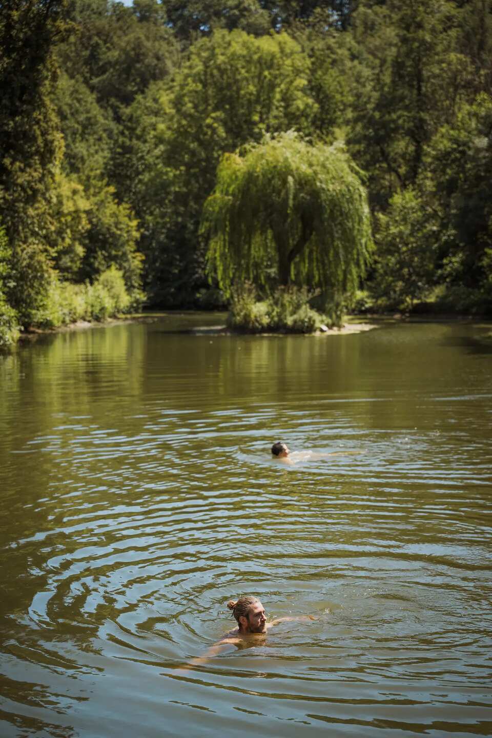 Baignade dans l'étang