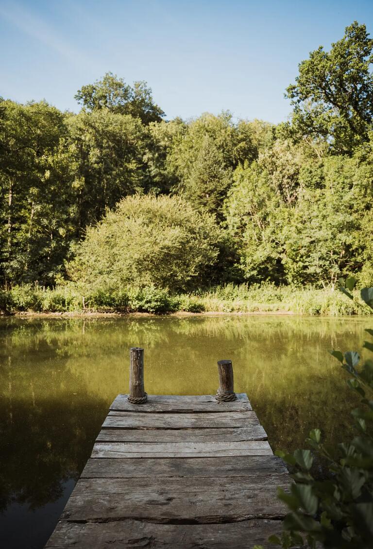 Un ponton de bois avance sur l'étang
