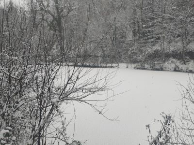 étang sous la neige à la ferme thérapeutique les heures étoilées