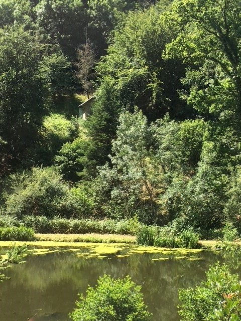 La Ferme Thérapeutique des Heures Etoilées, l'un des étangs