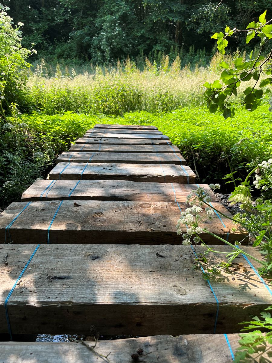 Les champs à la Ferme Thérapeutique des Heures Etoilées