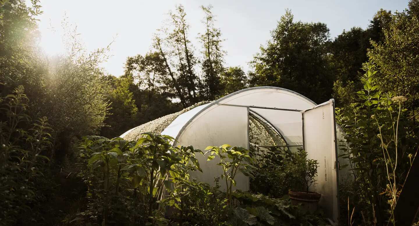 La serre tunnel du potager à contre-jour
