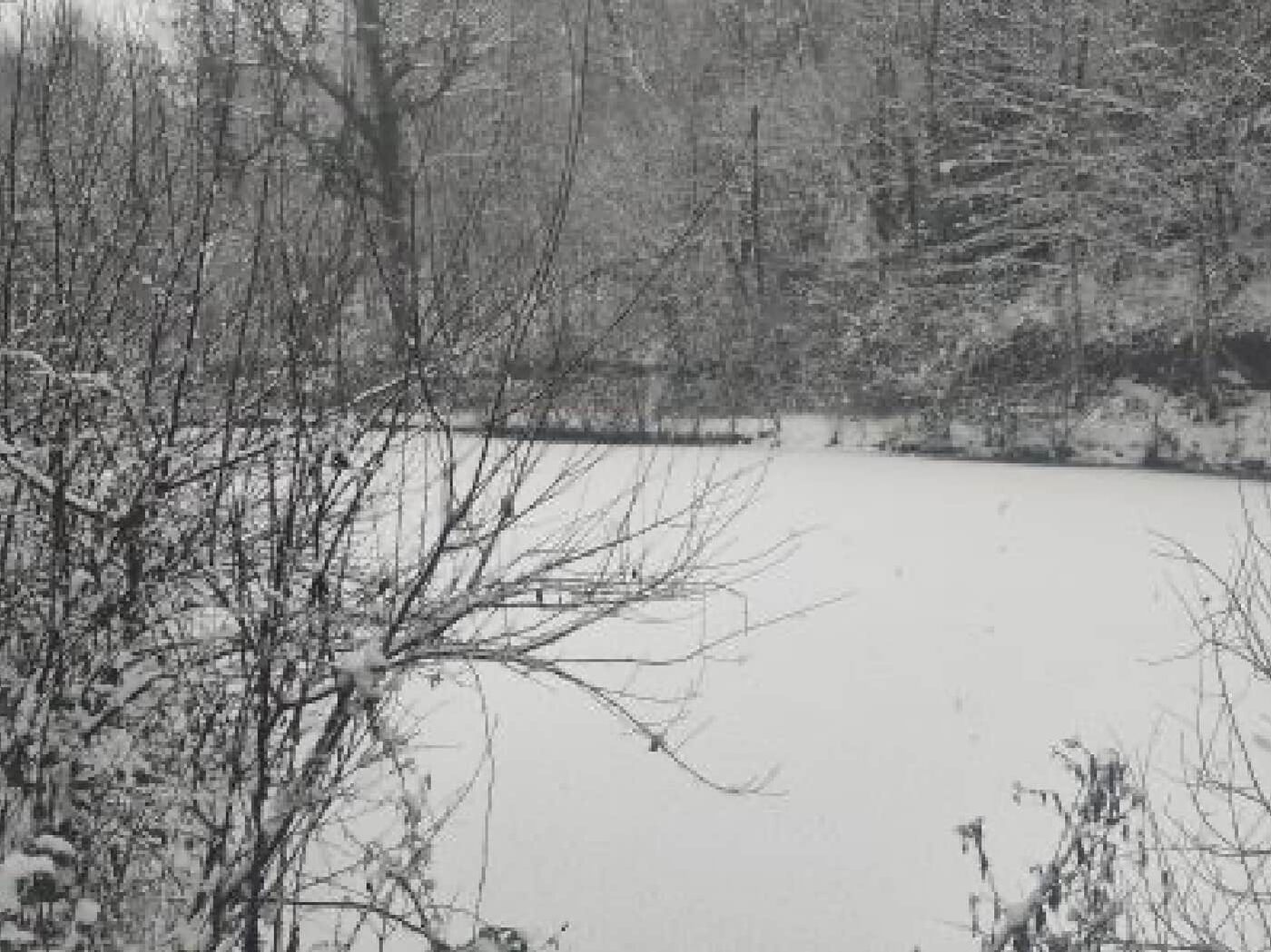 L'étang pris par la neige et la glace