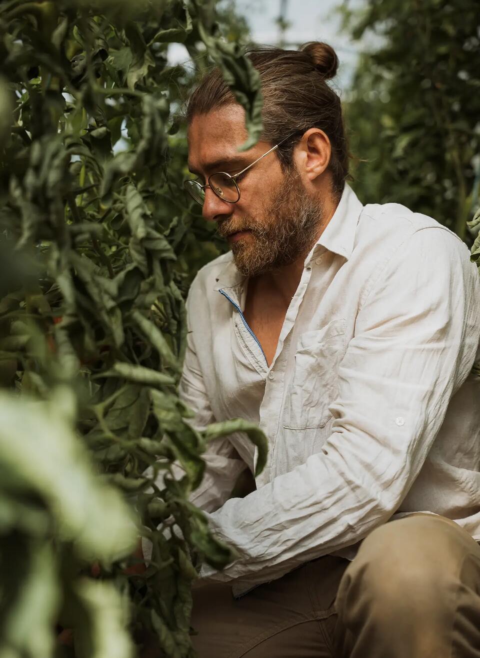 Arthur dans les feuillages du potager