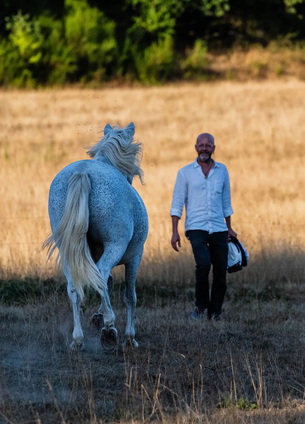 Un cheval blanc suit Alain dans le pré