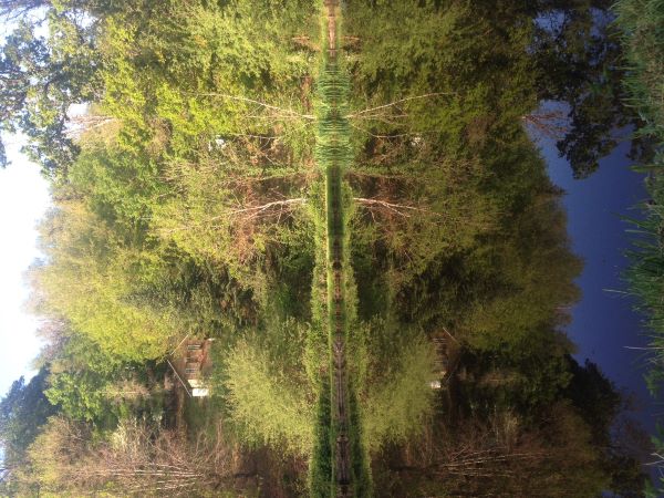 l'étang et la forêt à la ferme thérapeutique des heures étoilées