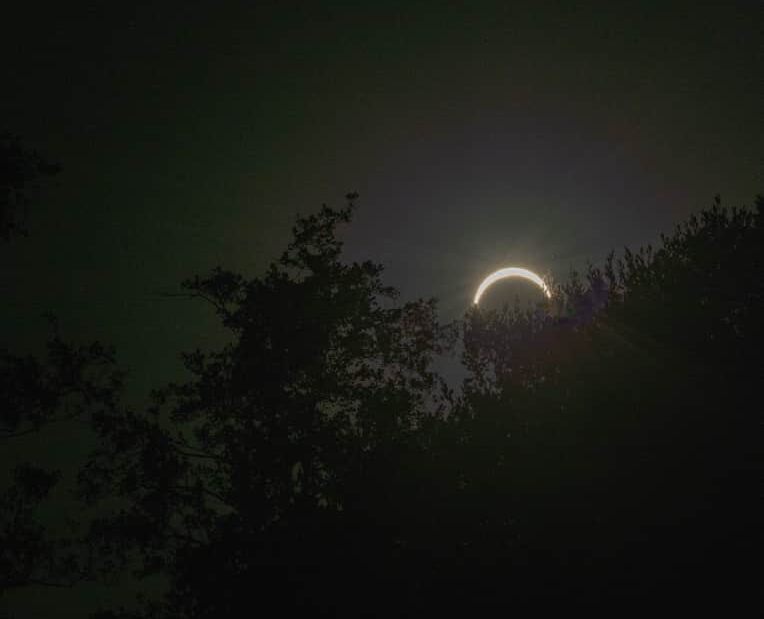 Le croissant de lune se lève au-dessus des arbres